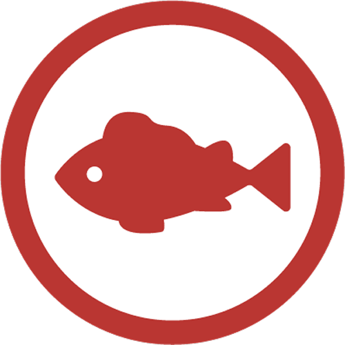 魚のイラスト