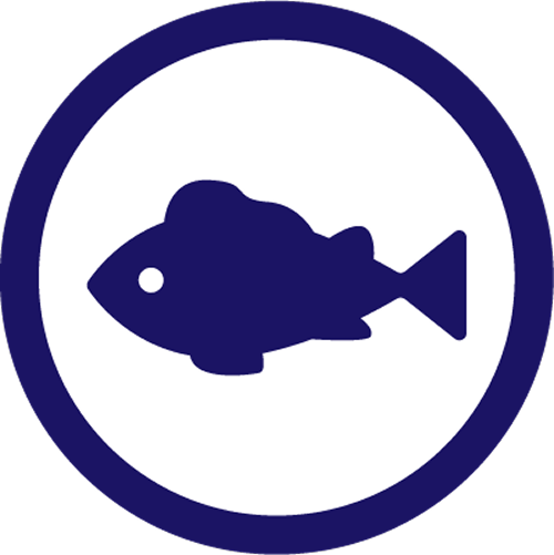 魚のイラスト